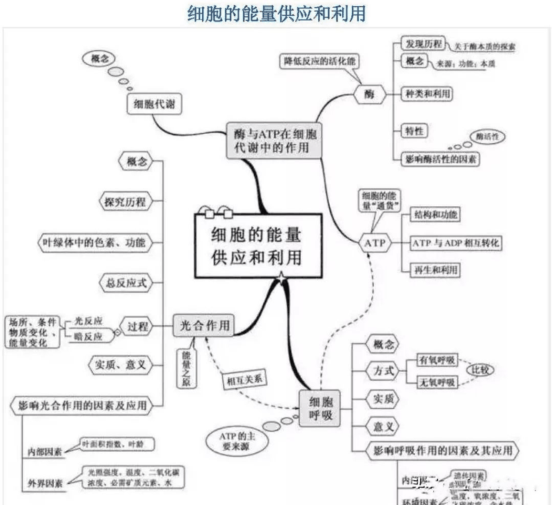 高中生這(zhè)樣(yàng)進(jìn)行課後(hòu)複習比聽課都(dōu)重要，您孩子做到了嗎？