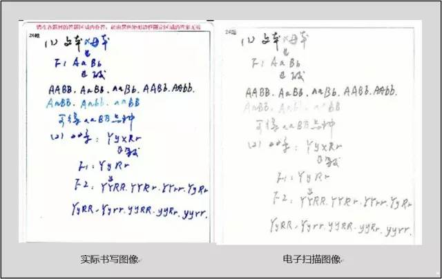 中高考電腦閱卷流程這(zhè)樣(yàng)的！讀完可多拿20分（轉給考生，這(zhè)對(duì)他們有用）