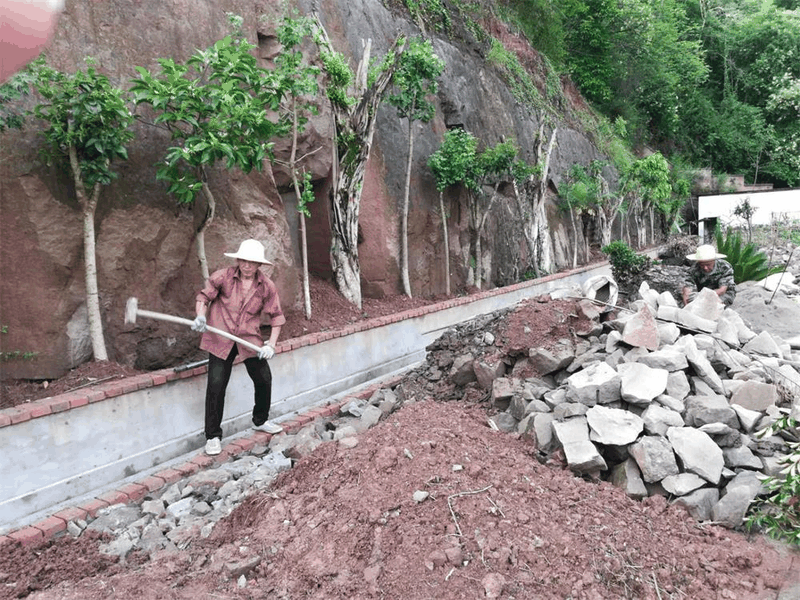 百年書院擴建工程項目建設正如火如荼推進(jìn)