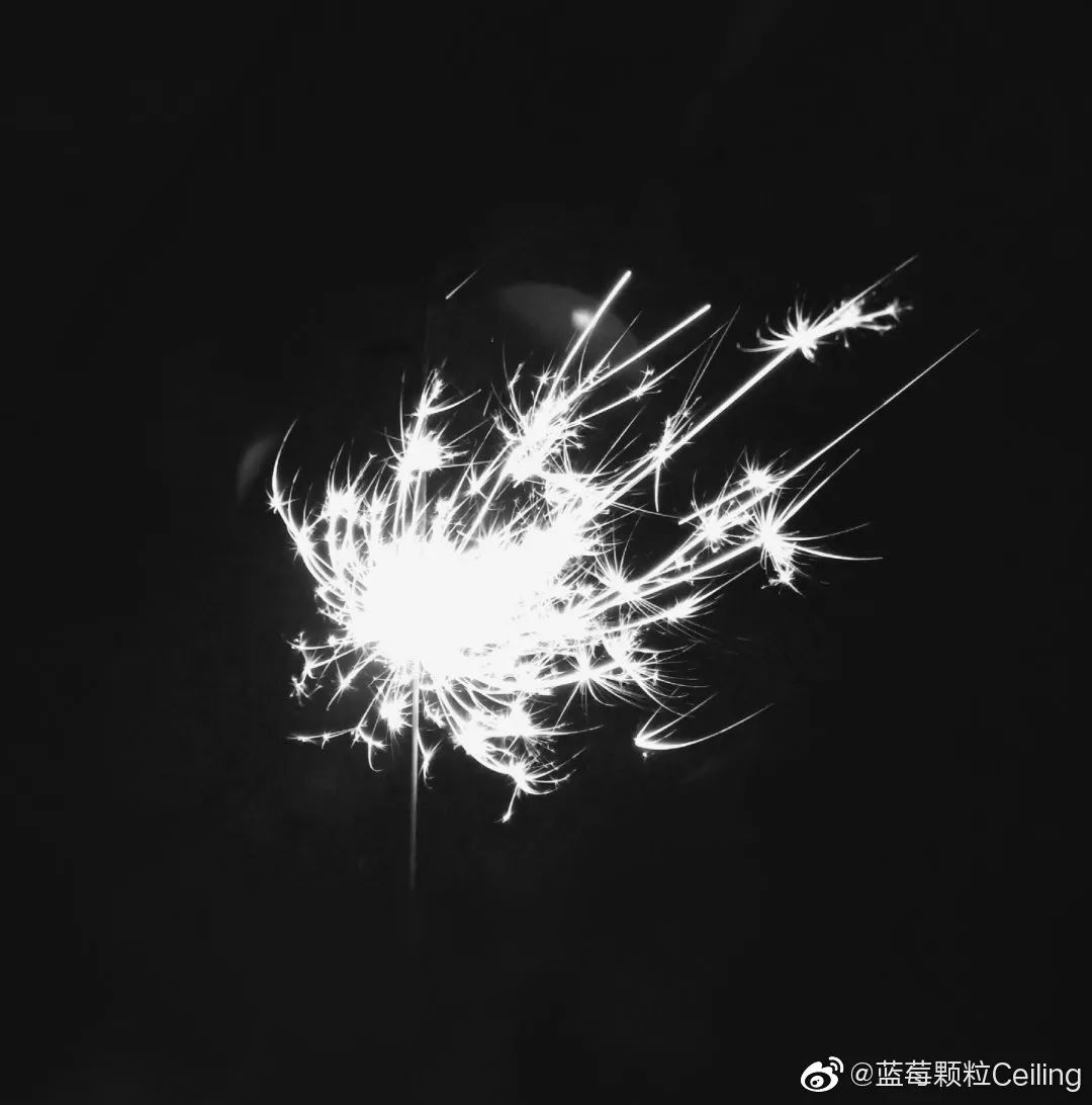 這(zhè)是今年他最舍不得删的一張照片